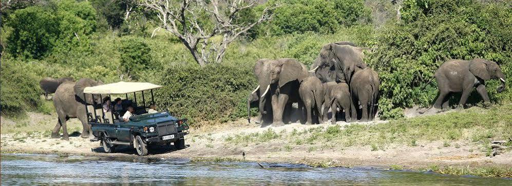 Tongabezi Lodge Simonga Kültér fotó